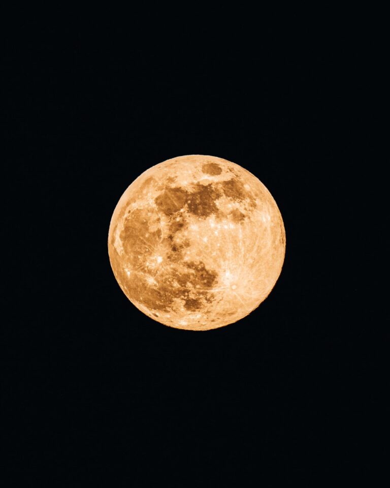 cristofer-maximilian-nW3Zc0xHEGg-unsplash-scaled